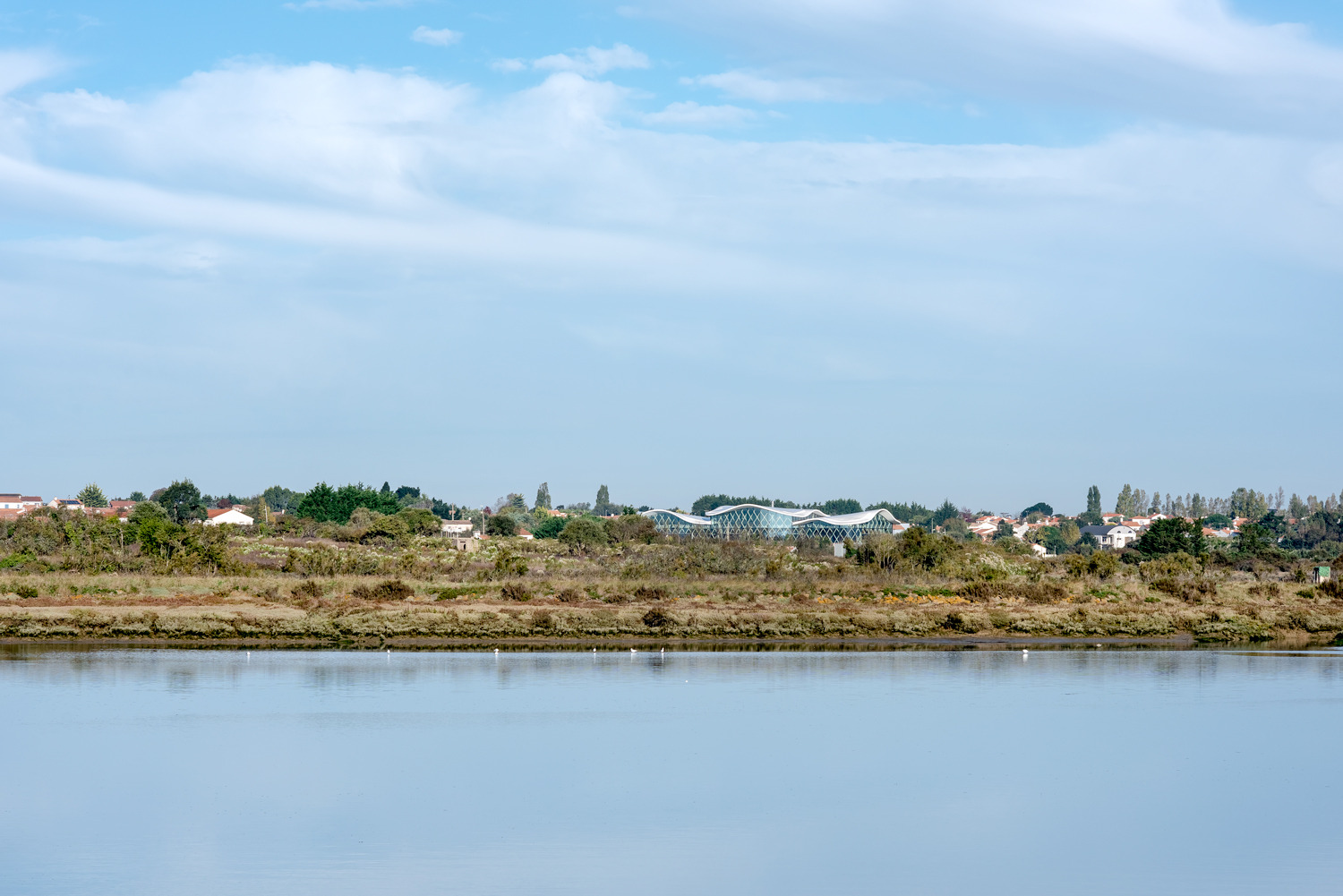 体育馆丨MultiplexeAquatique-32