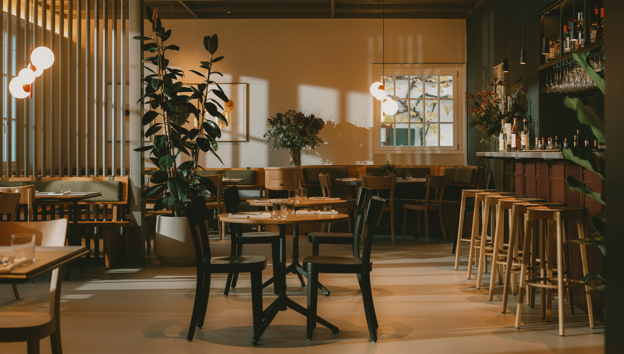 丨瑞士丨pfeffermint AG-7