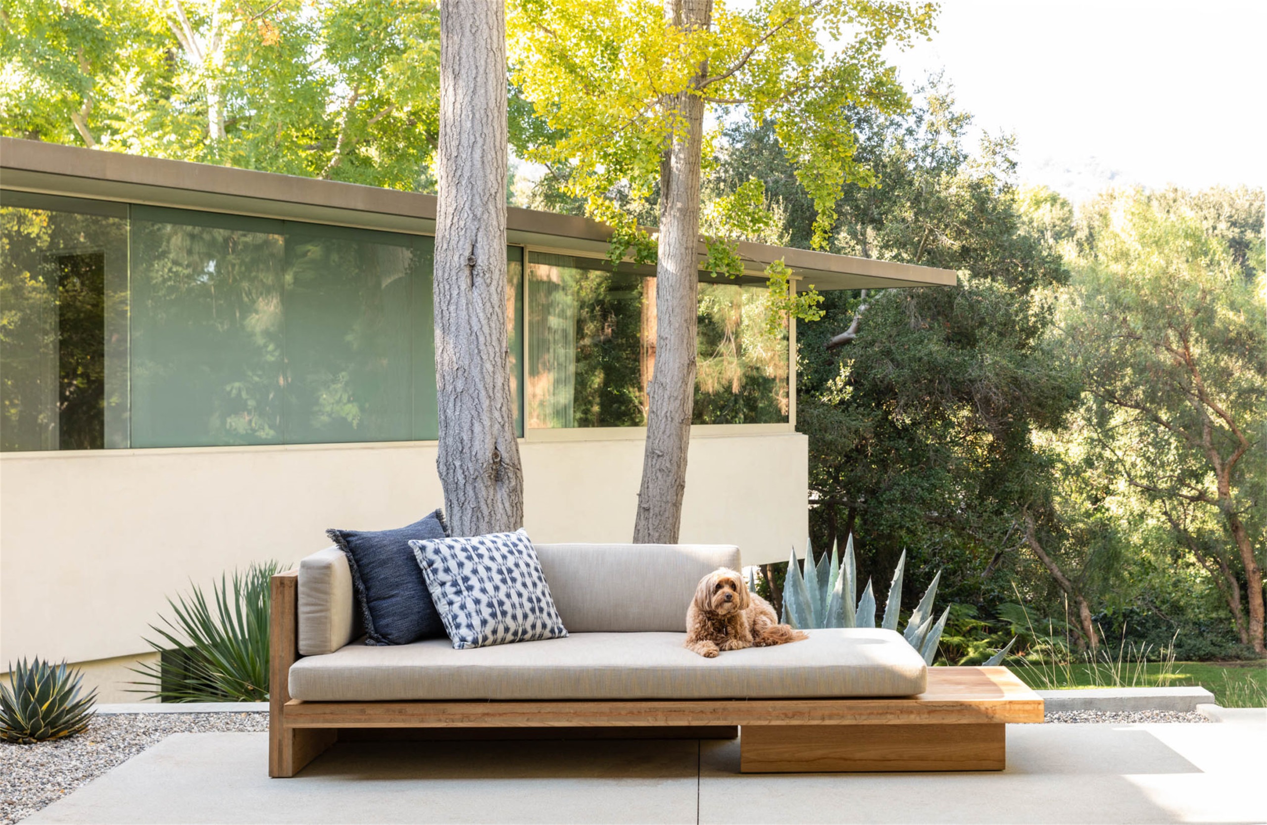 自然生长 · 私宅景观丨美国加利福尼亚-94