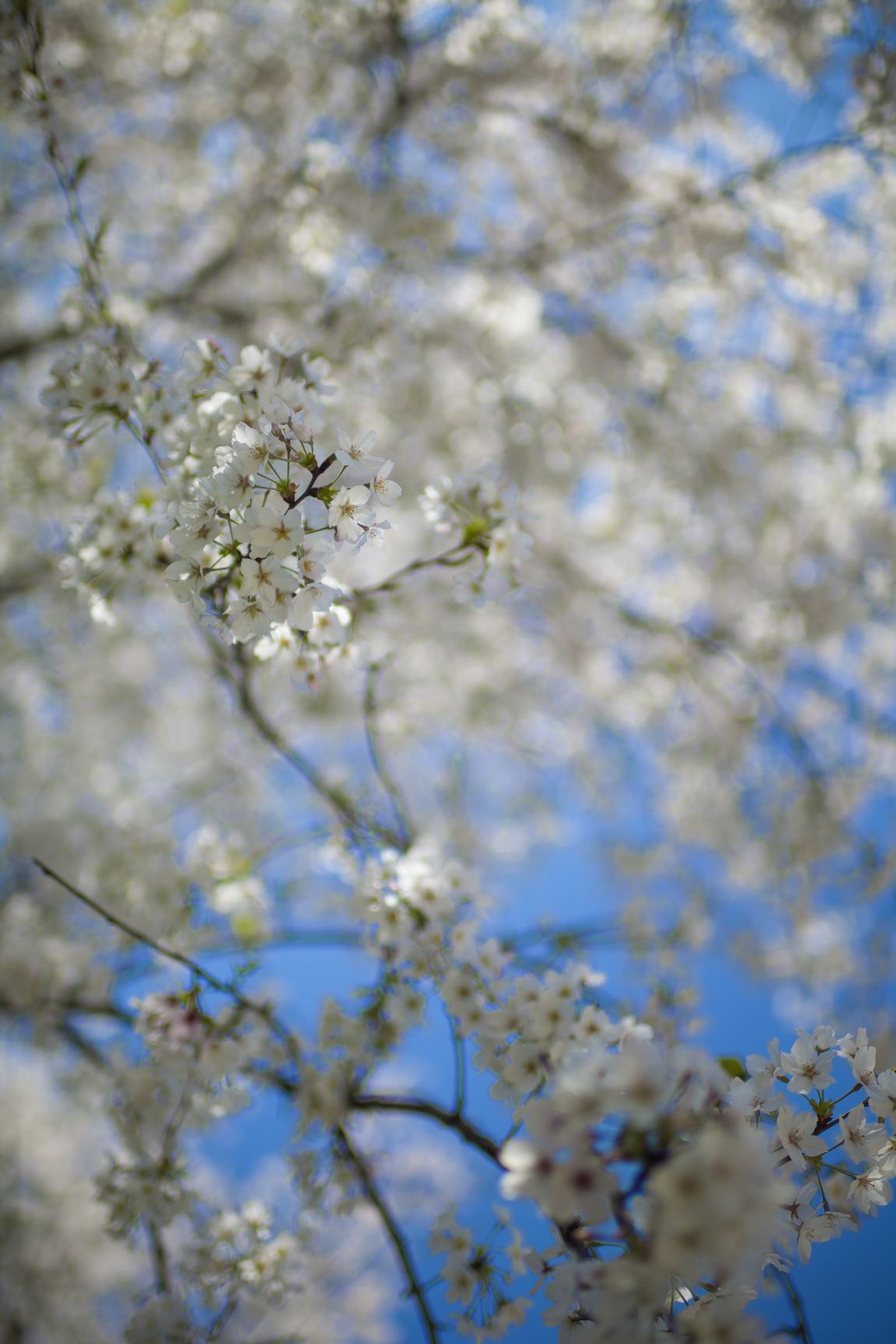 【JAYA】兰亭安麓度假酒店高清官方摄影-5