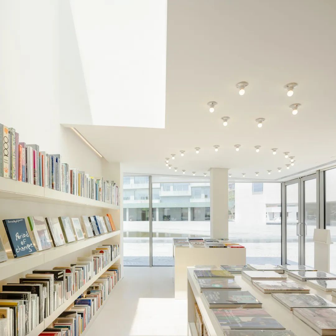 海边的两块石头-37