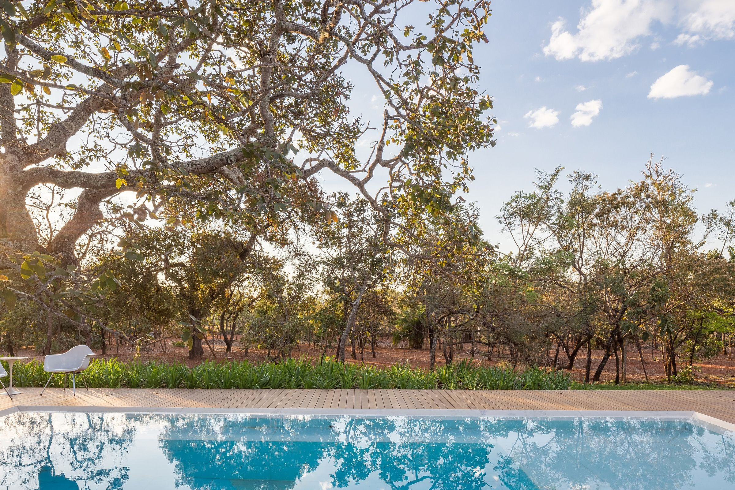 巴西 House 28 绿色住宅-31