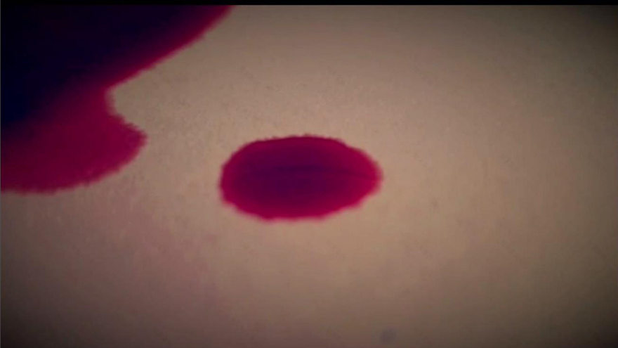 赋能未来创业者-20