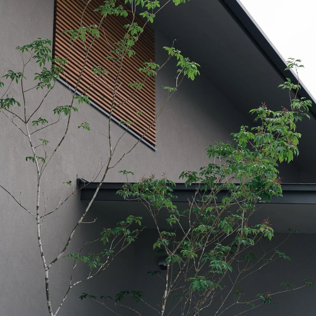 静谧住宅 · 日本美学的感官体验丨Fukayama architects-17