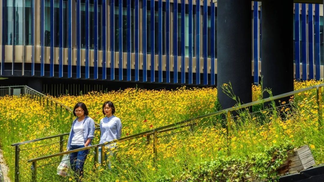 华鑫天地一期 | 建筑与景观的生态融合-70