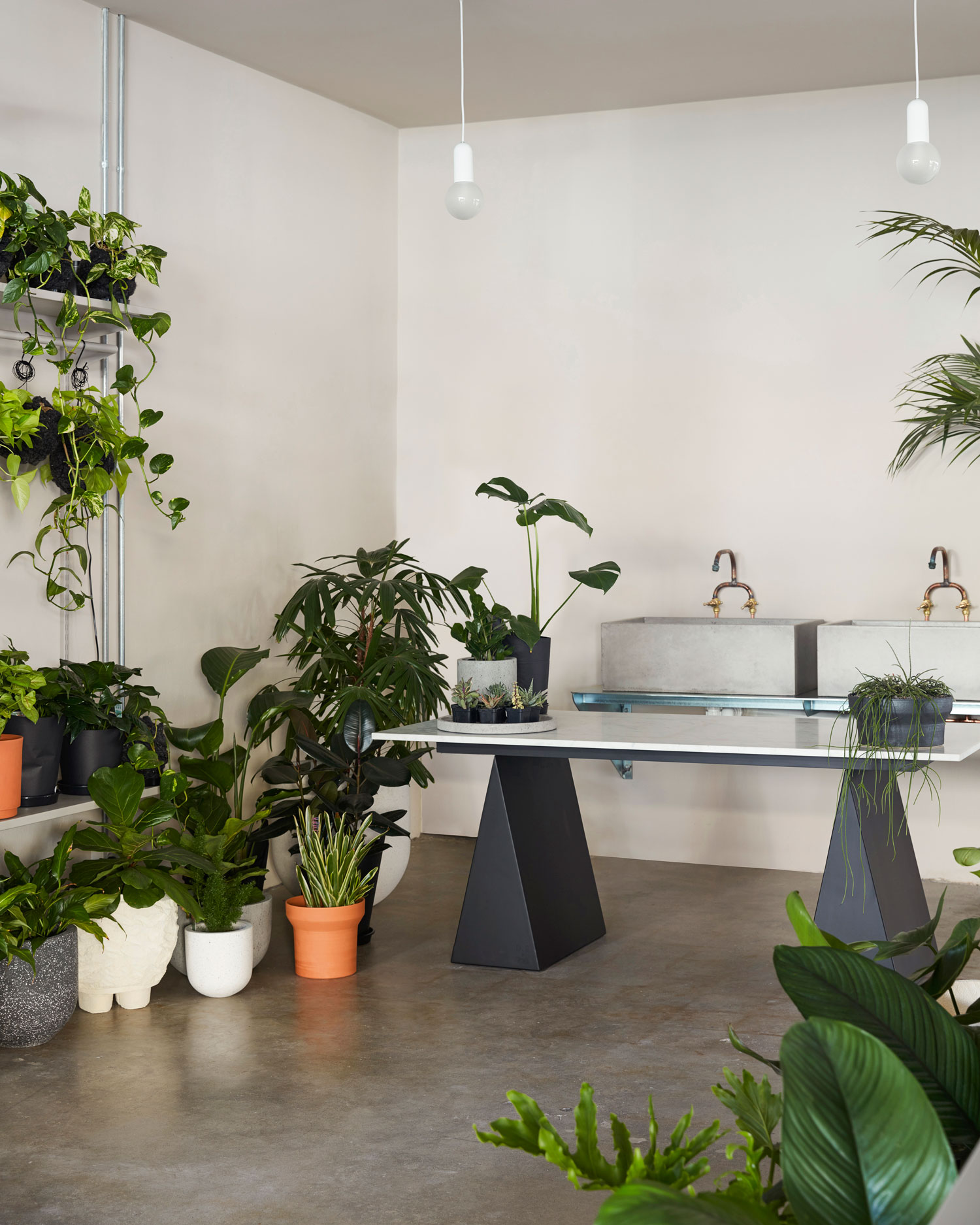 墨尔本 Tait 旗舰店,生活与自然的和谐交融-30