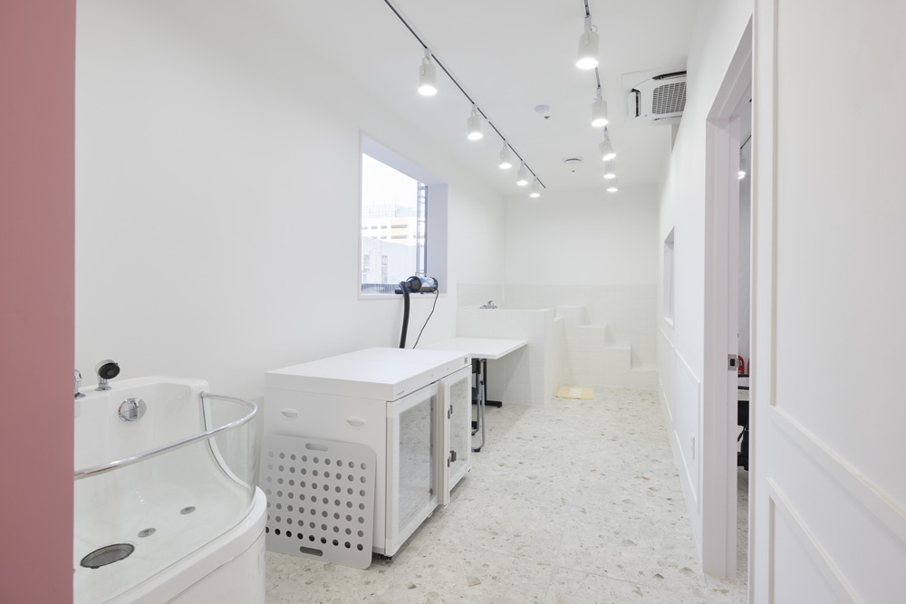 40 平米的粉色童话，爱犬咖啡厅的温馨设计-13