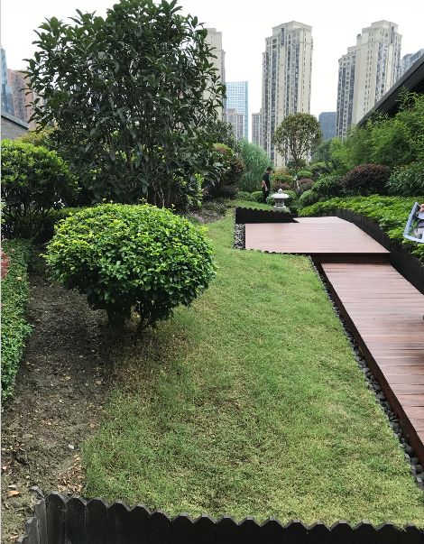 空中花园的粉紫色浪漫 | 乐梵造园的秋韵花境改造-8