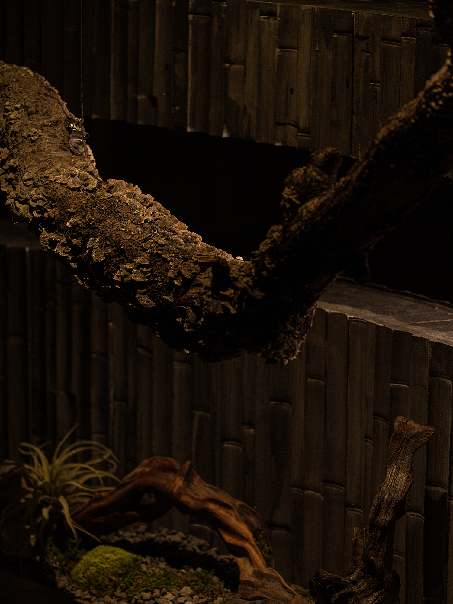 丨中国上海丨万谦集环境艺术设计公司-20