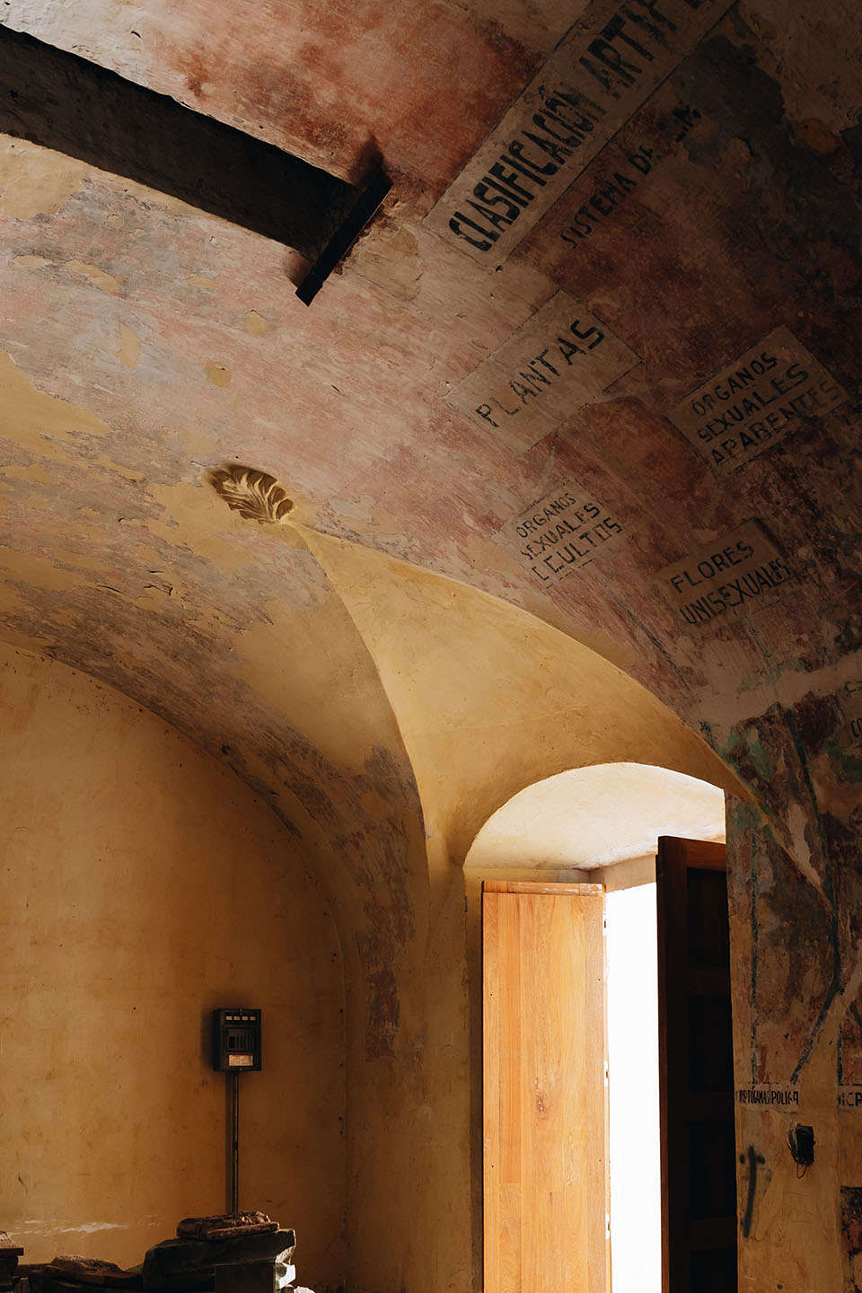 墨西哥Oa·aca美食中心丨RootStudio事务所-38