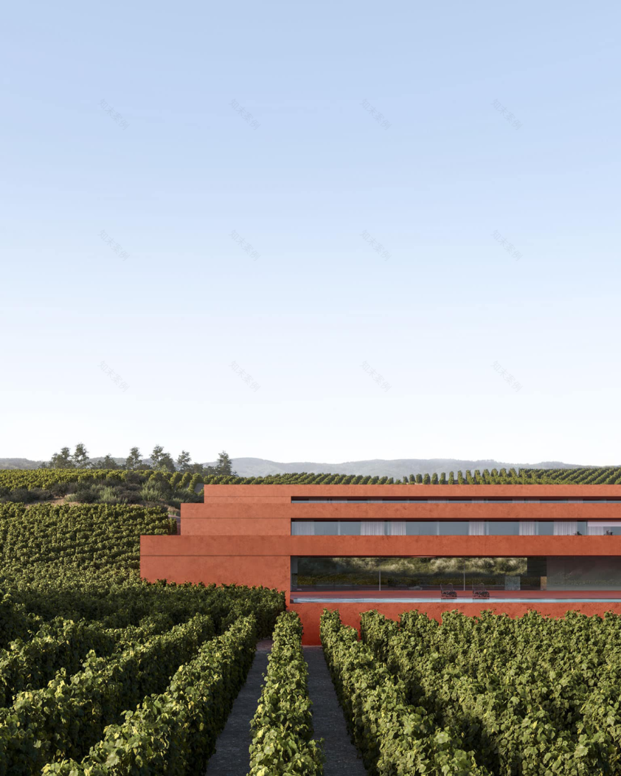 橄榄林屋丨西班牙丨Balzar Arquitectos-15