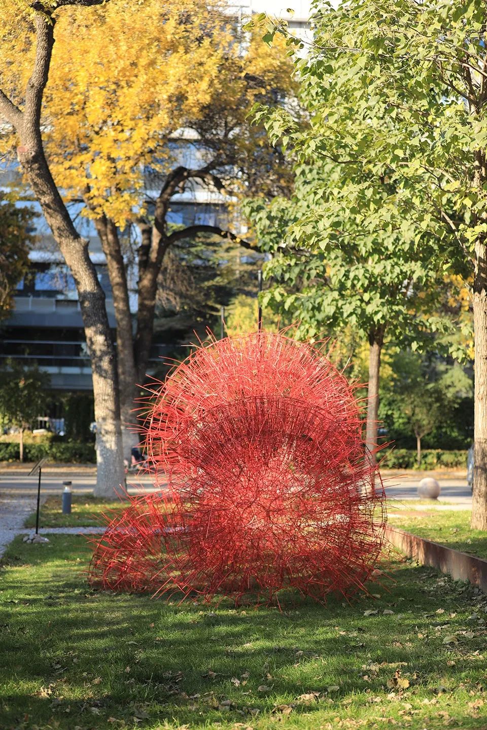 丹岩丨中国北京丨北京林业大学-17