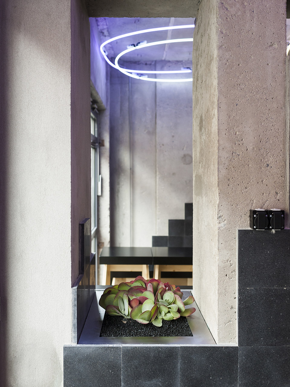 柏林街头的美式风情 & Beets and Roots餐厅 / GONZALEZ & HAASE / AAS-30