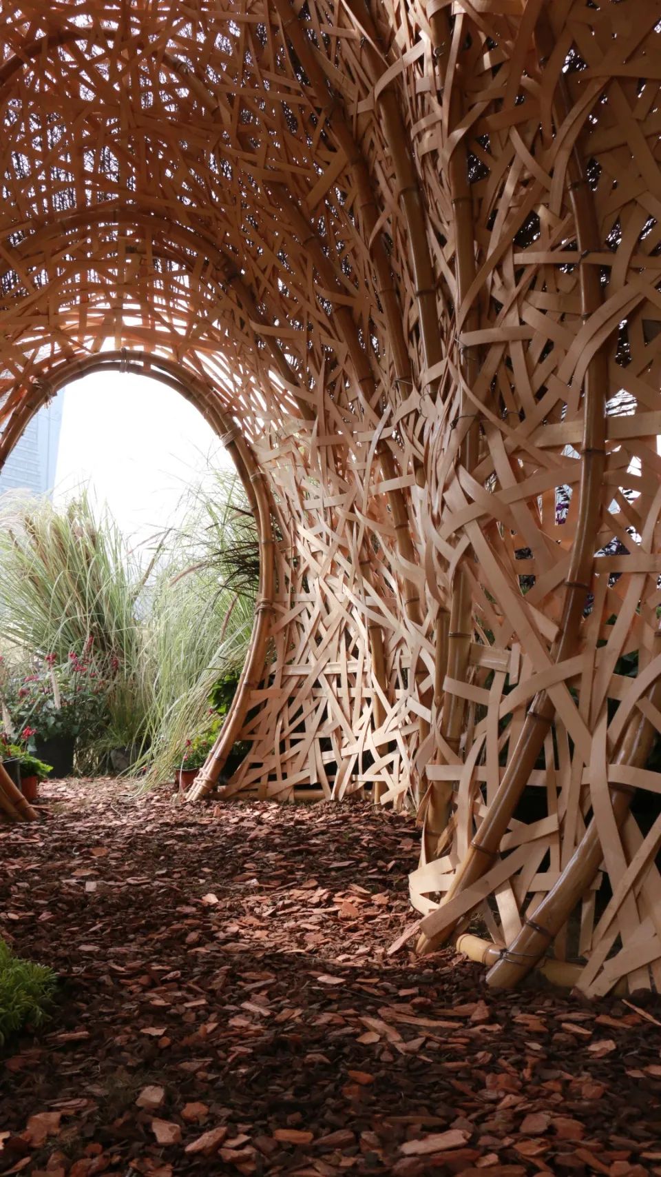 《森之秘语》 | 竹构树洞，寻觅心灵秘境-27