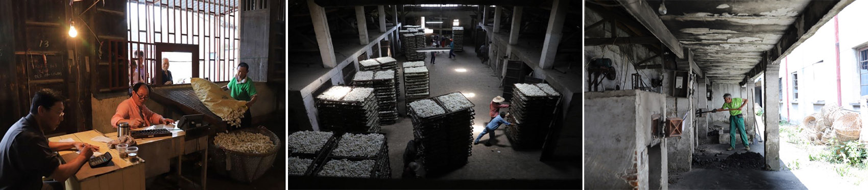 茧·酒店:湖州纺织业历史遗存的新生丨中国湖州丨九樟营造事务所-17