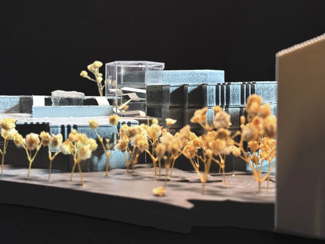 耶鲁研一学姐的一个月极限速出项目！住宅内部贯穿瀑布与水道？人/时间/情感三大动线集成2040年的多户住宅！植物如何激活空间？-196