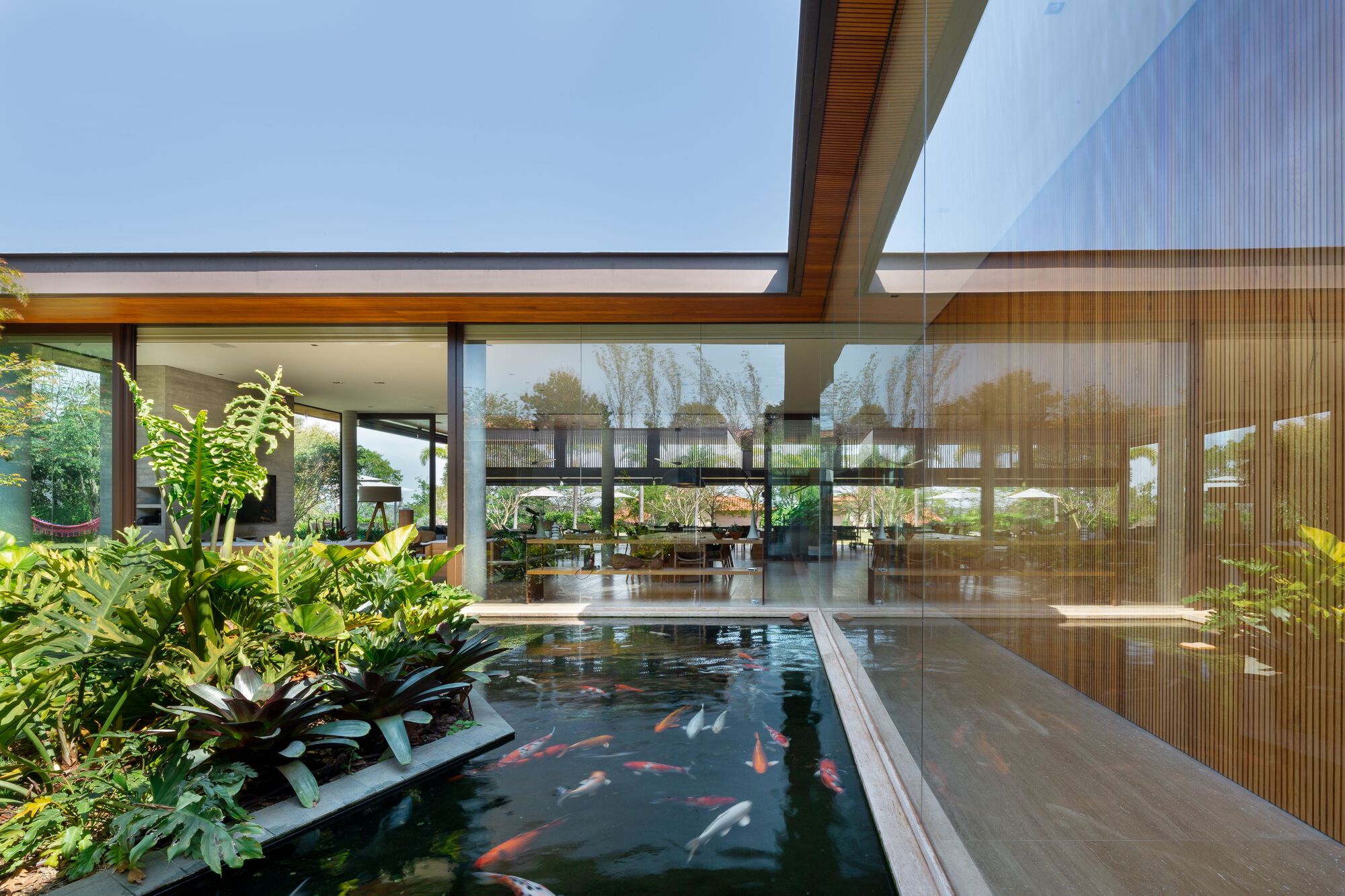 Mangabas 住宅丨巴西-13