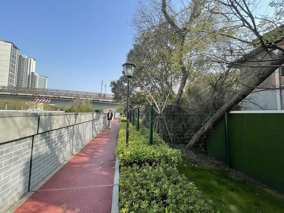 苏州河畔的英式庄园 · 华东政法大学长宁校区滨河景观提升丨中国上海-39