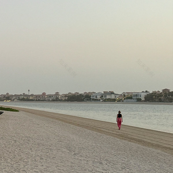 拉容格拉别墅丨阿联酋迪拜丨KSTALT-8