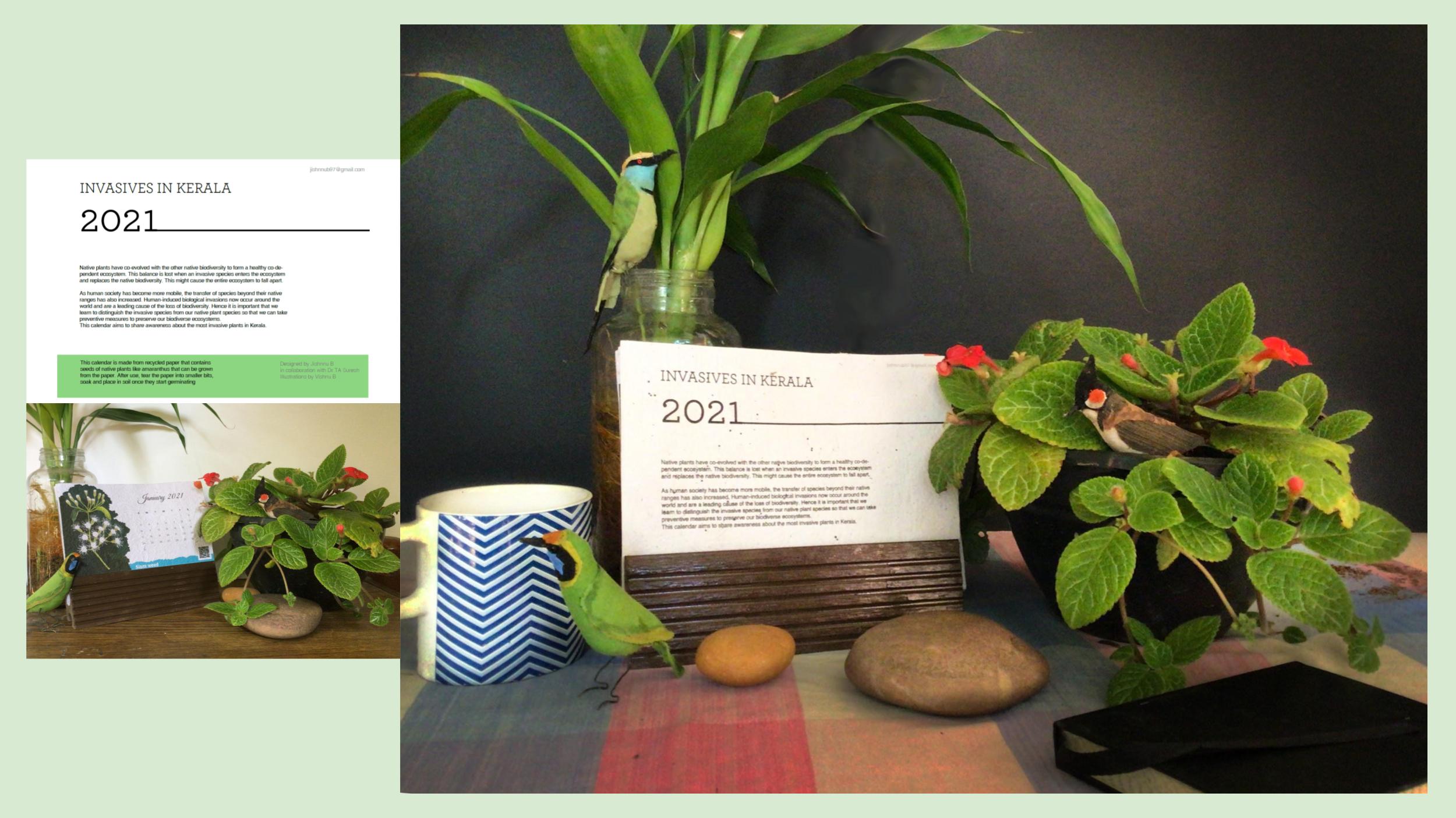 生物多样性保护-28