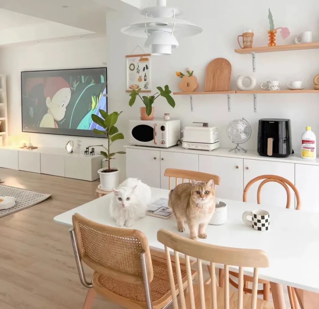 独居生活大公开 · 三大博主潮家设计-57