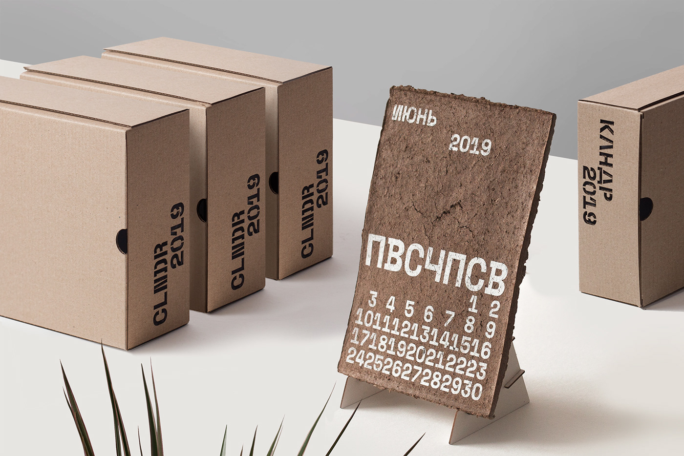 生物环保日历 · 为地球添绿-19