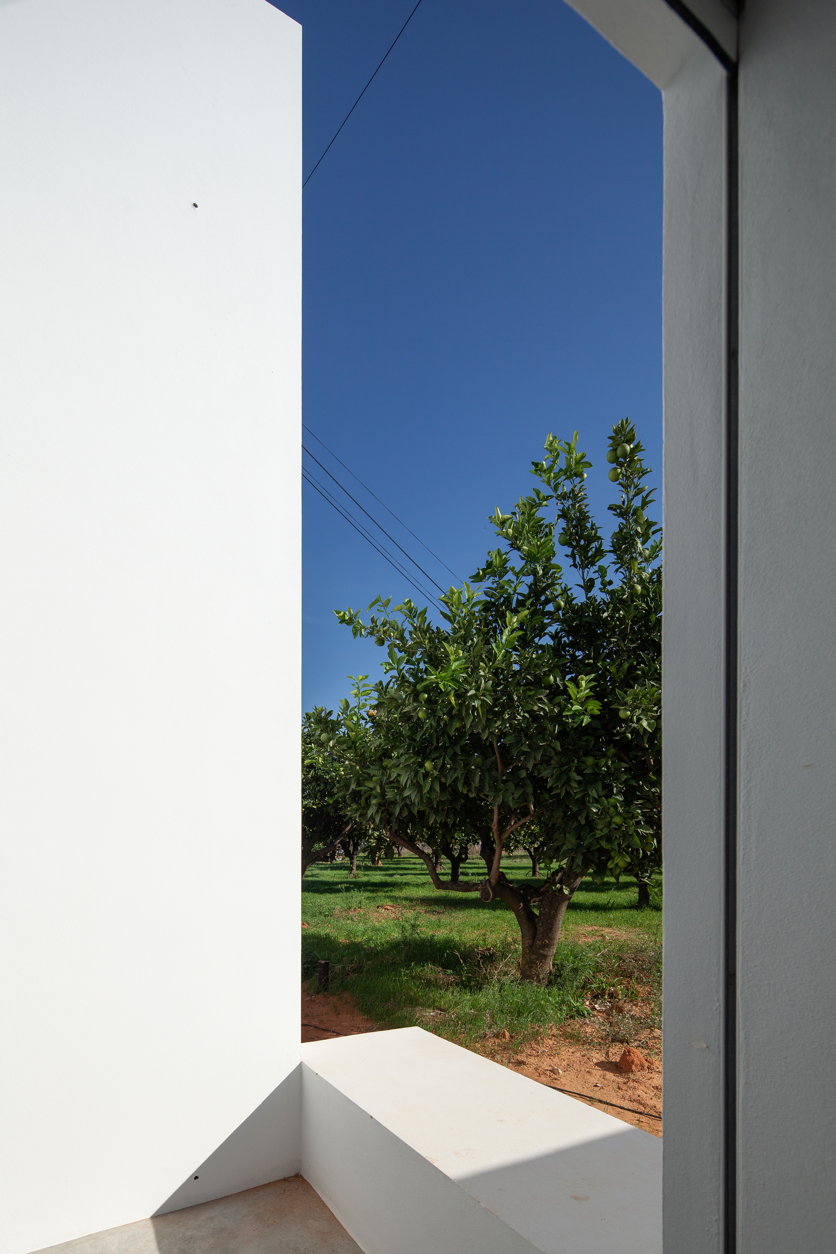 Falfosa House | TAEP+AAP-16