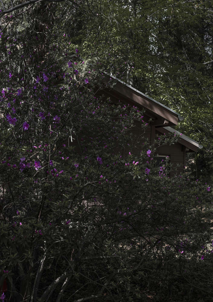 星座丨Daniel Zamarbide,Leopold Banchini-10