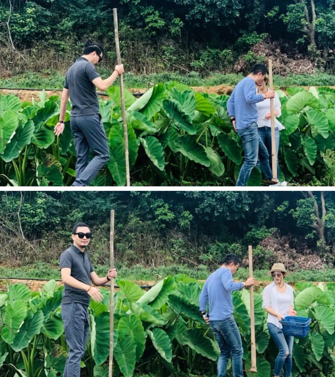 《设计师来啦》品味生活,找寻设计本源-31