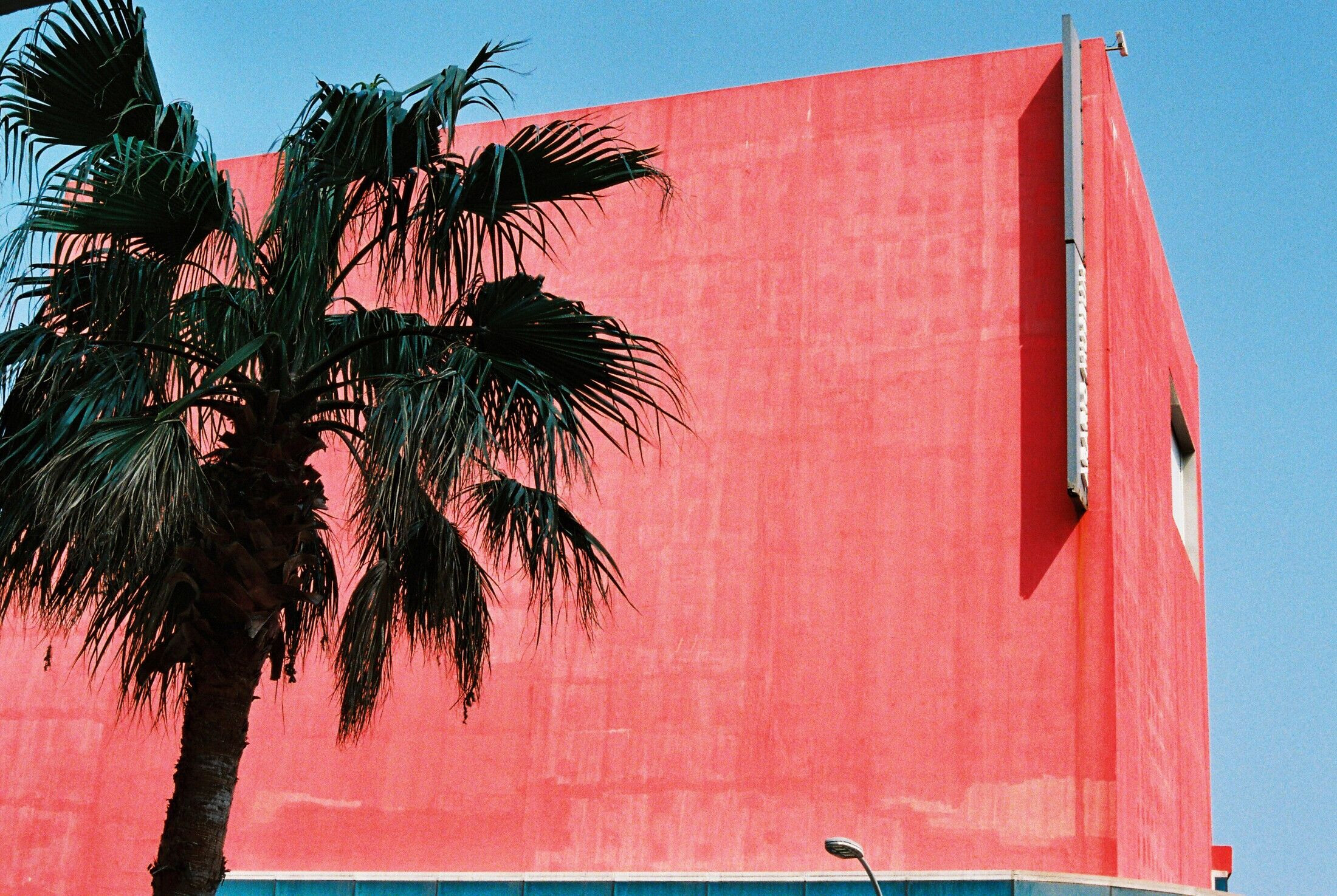 韩国 ARARIO 博物馆 Tapdong Cinema | 以咖啡馆连接城市,让博物馆更亲近-14