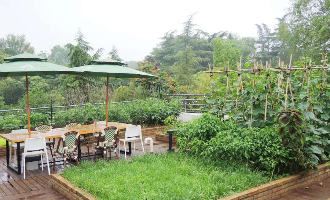 大众网满月回访泉民园艺中心领航店-66