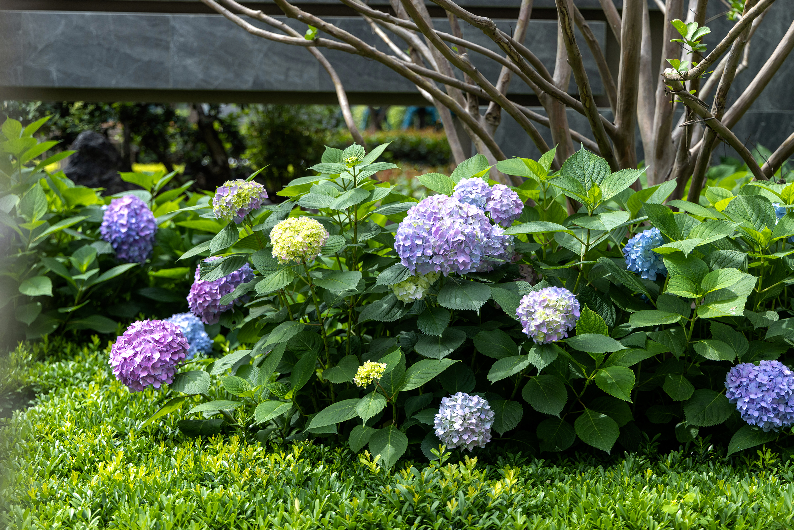 成都中海·浣云居（大区）丨中国成都-58