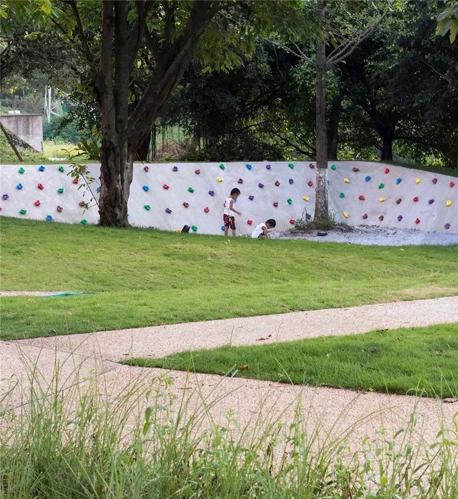 边界植物在景观设计中的妙用-27