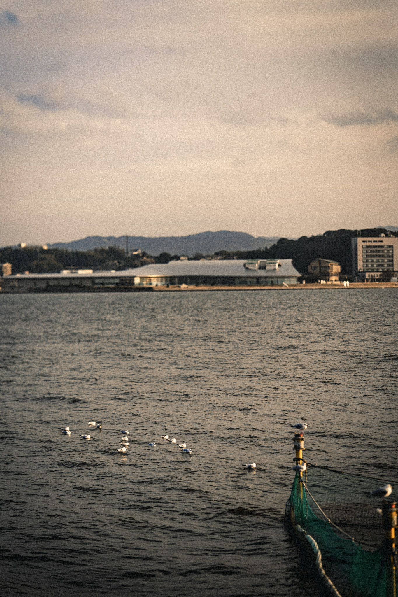厳冬の日本海-1