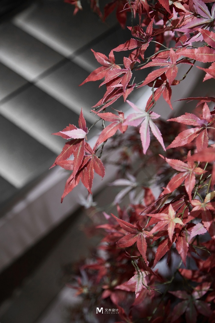 拾瑾体质调理商业空间设计丨中国赣州丨南昌艾木设计事务所-43