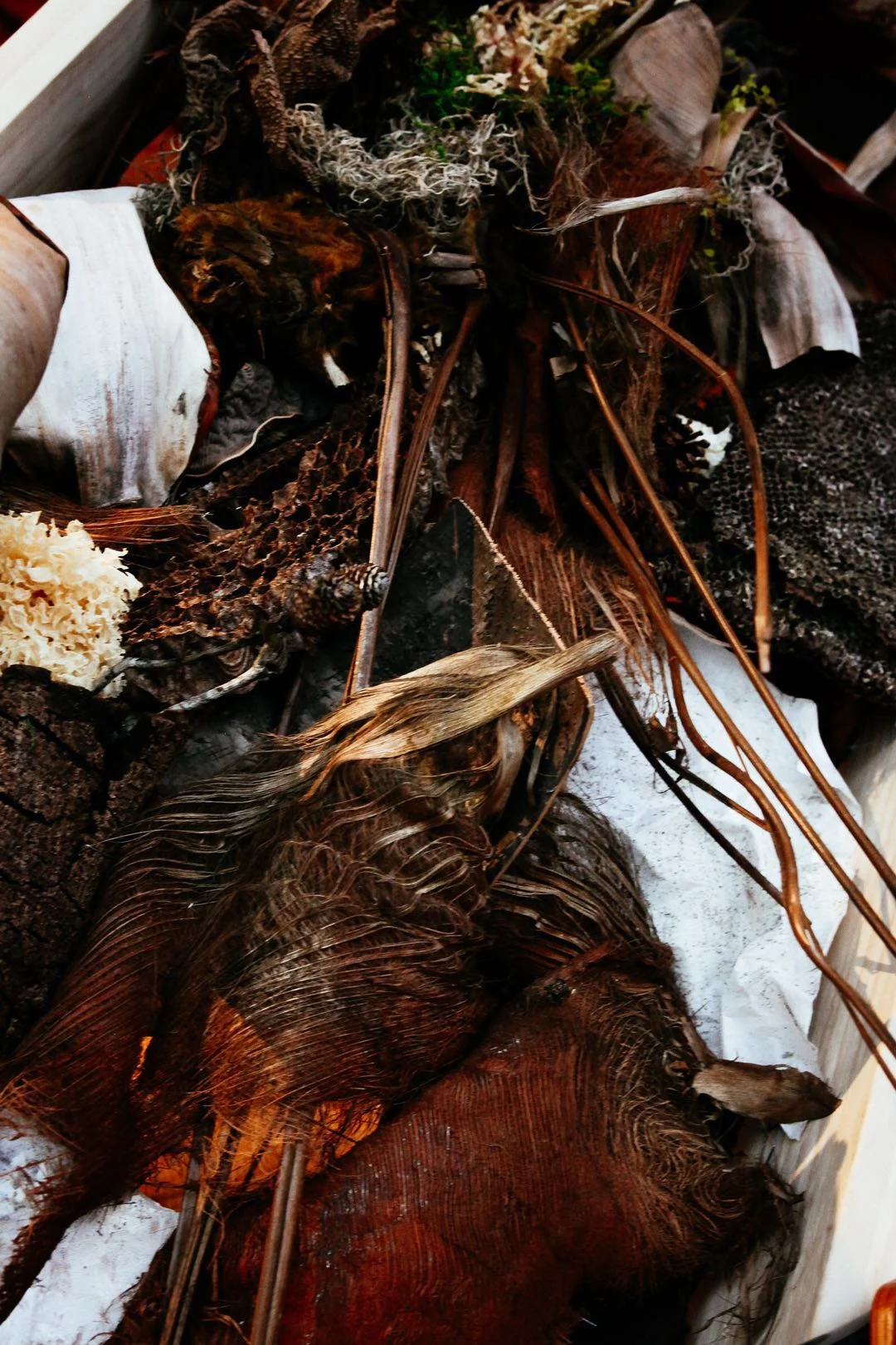 动 词的再製  地質,地貌丨中国台北-27