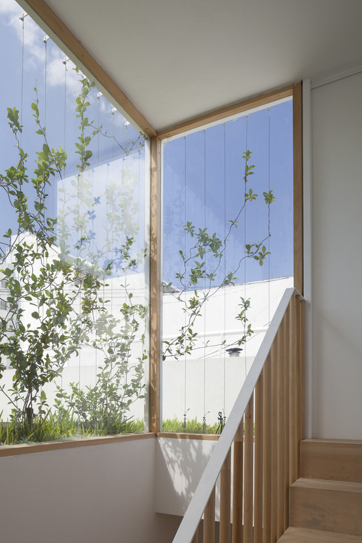 阿根廷五院住宅的室外空间利用-25