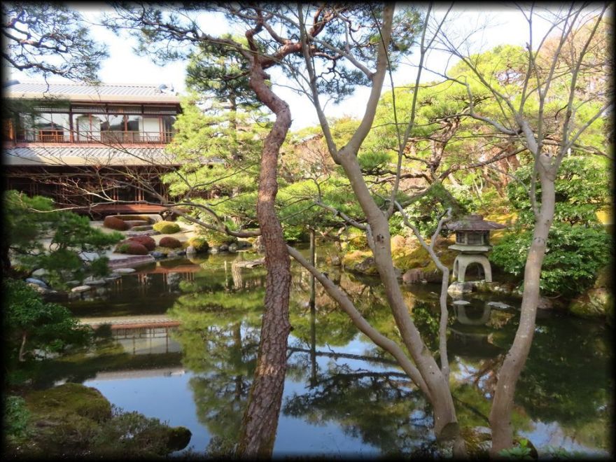 日本私立学校振興・共済事業団京都宿泊所『白河院』丨日本京都丨武田五一(建筑),七代目小川治兵衛(植治)(庭园)-22