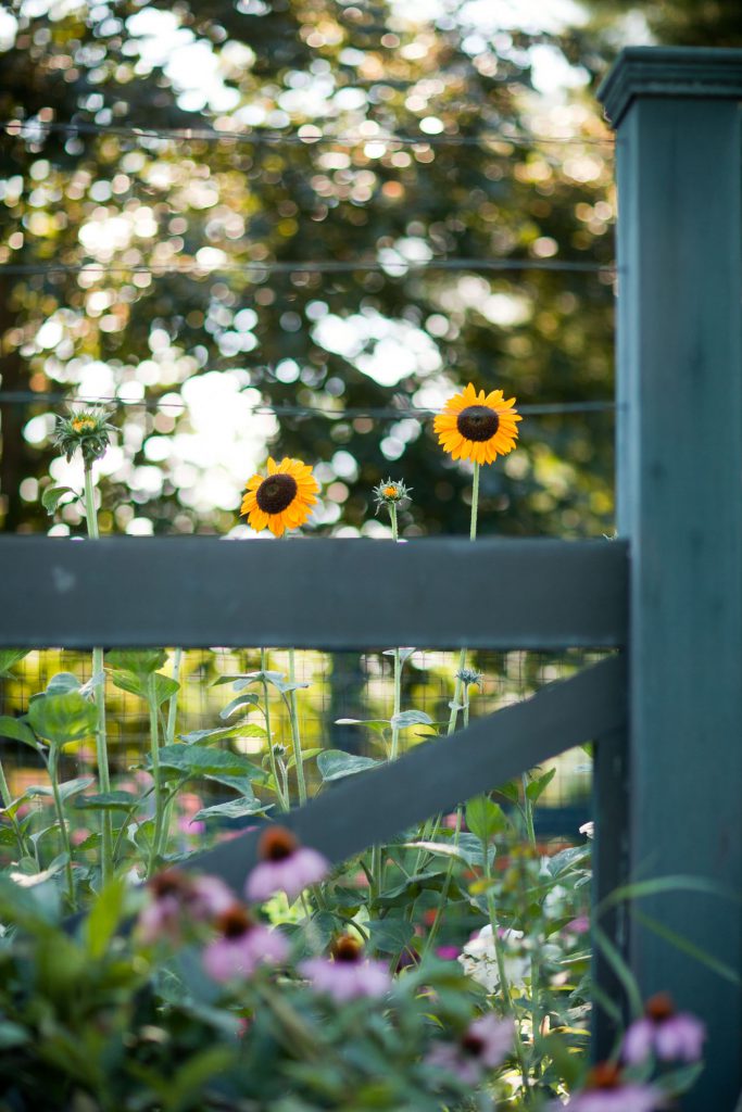 丨美国纽约丨Janice Parker Landscape Architects-14