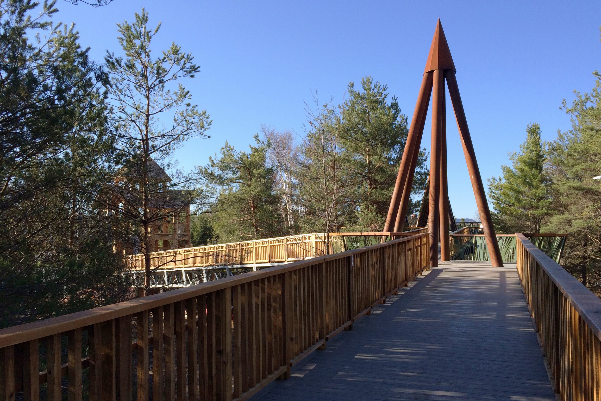 野性漫步 · 融入自然的高空步道设计-15