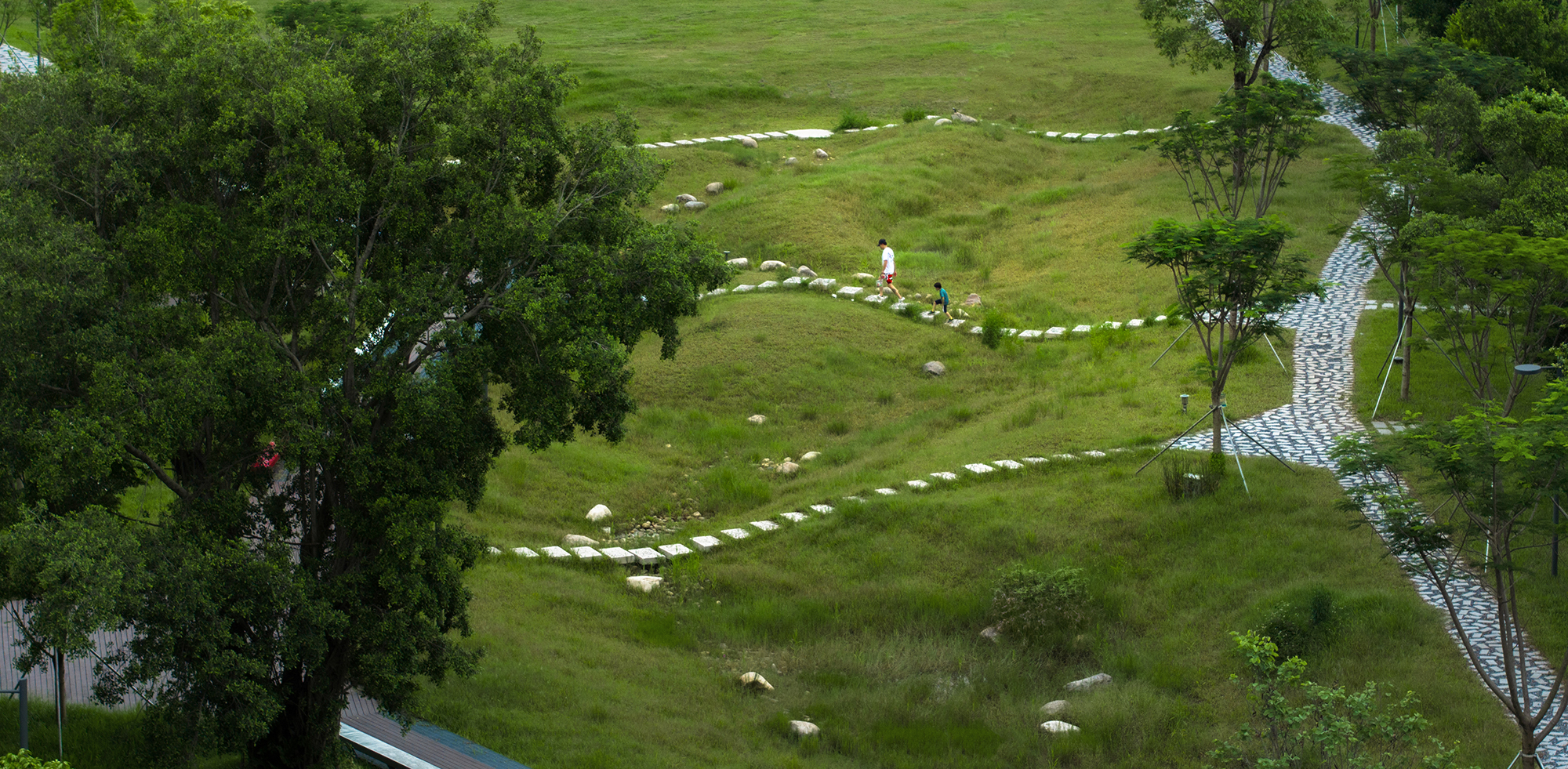 深圳光明虹桥1958生态公园丨中国深圳丨深圳自组空间,深圳市建筑科学研究院股份有限公司-79