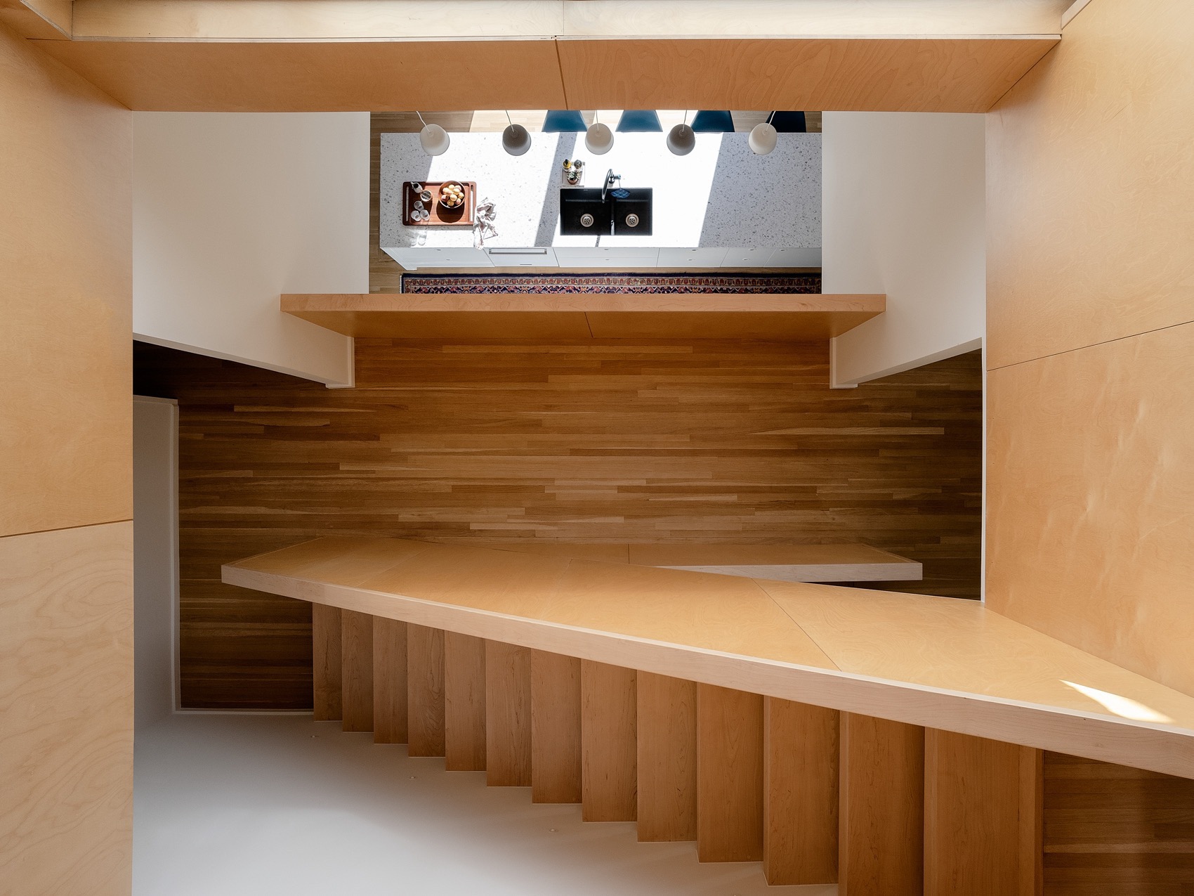 Humber 住宅丨加拿大多伦多丨BatayCsorba Architects-34