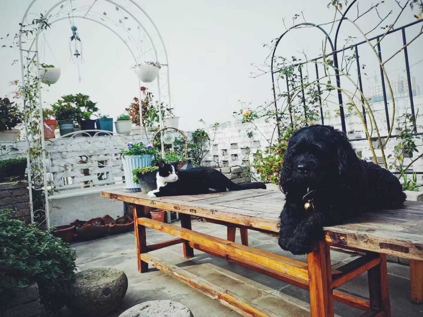 金山花园私宅丨居之设计-14