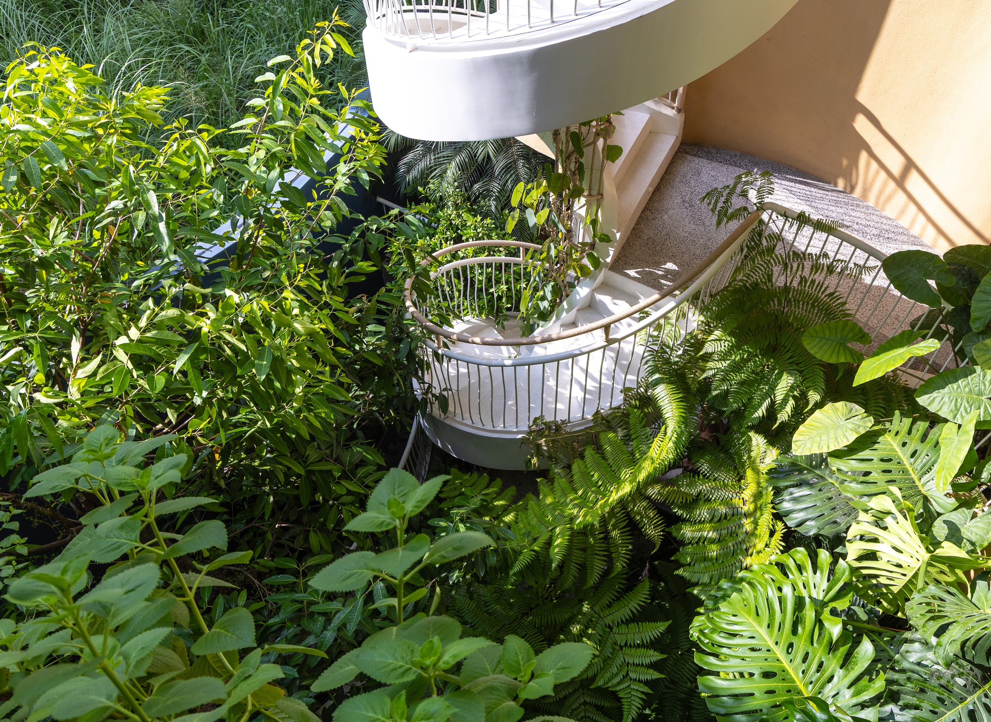 丨越南丨Ho Khue Architects,FHD-43