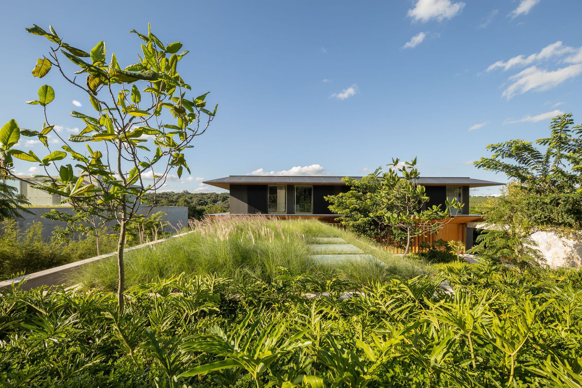 F3 住宅丨巴西圣保罗丨Belluzzo Martinhão Arquitetos-24