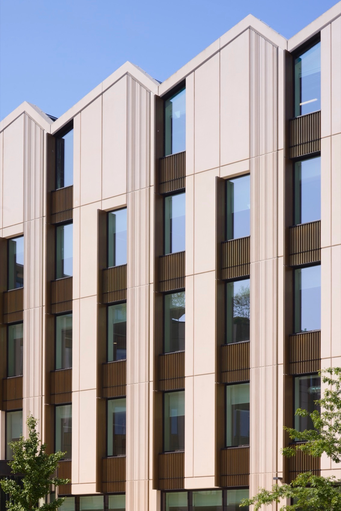 牛津大学生命与心智大楼丨英国牛津丨国际知名建筑事务所NBBJ-28