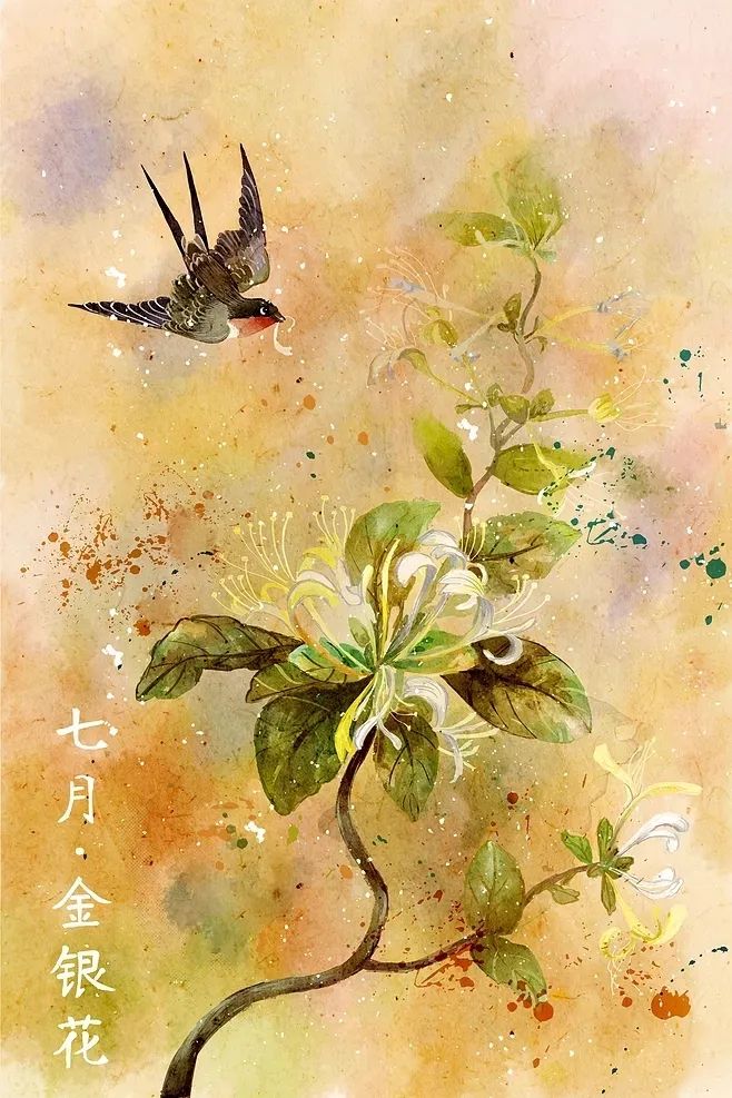 金银花园艺设计 | 品味清热解毒的良药之美-1