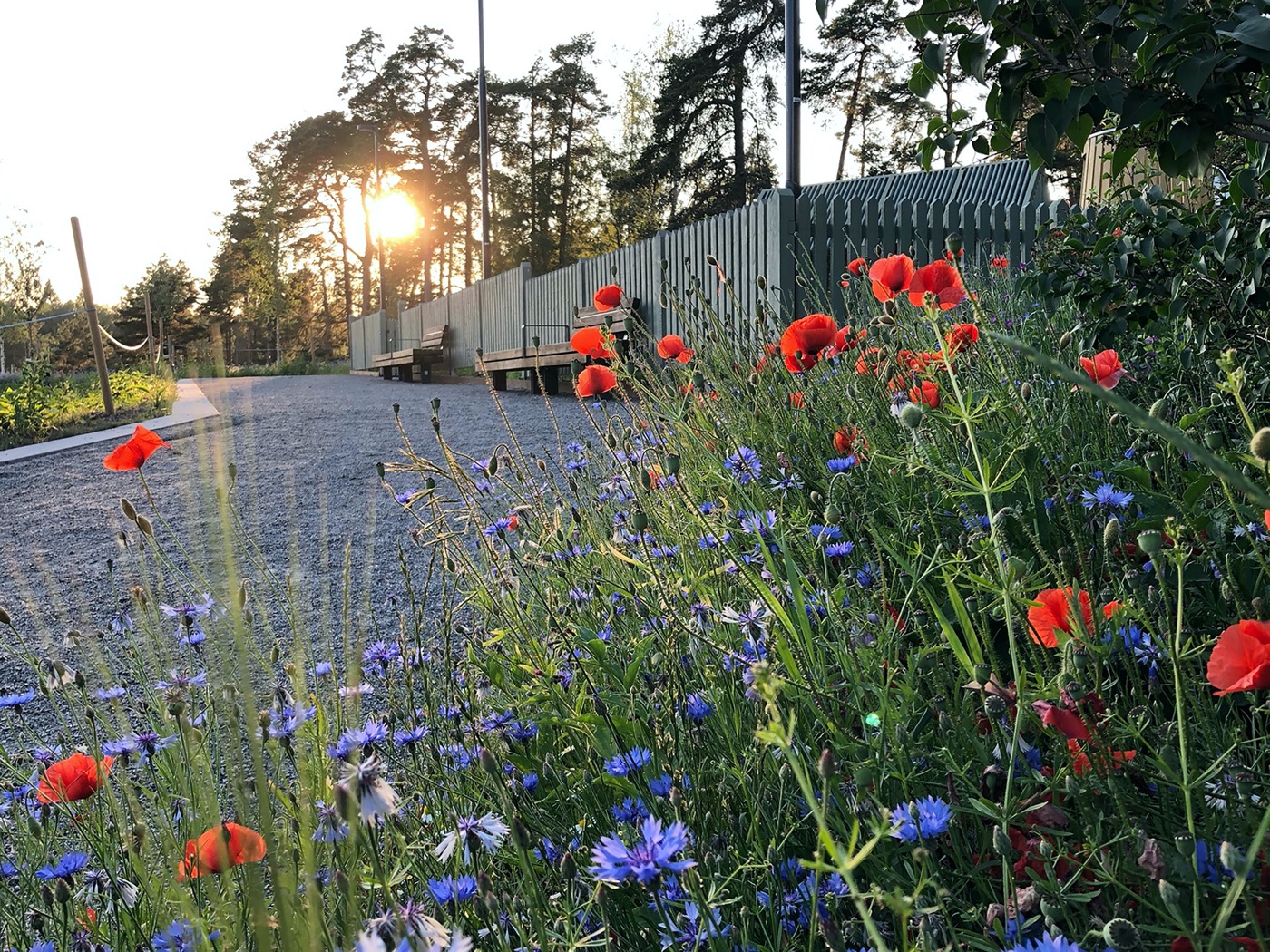 瑞典乌普萨拉的新区公园-31