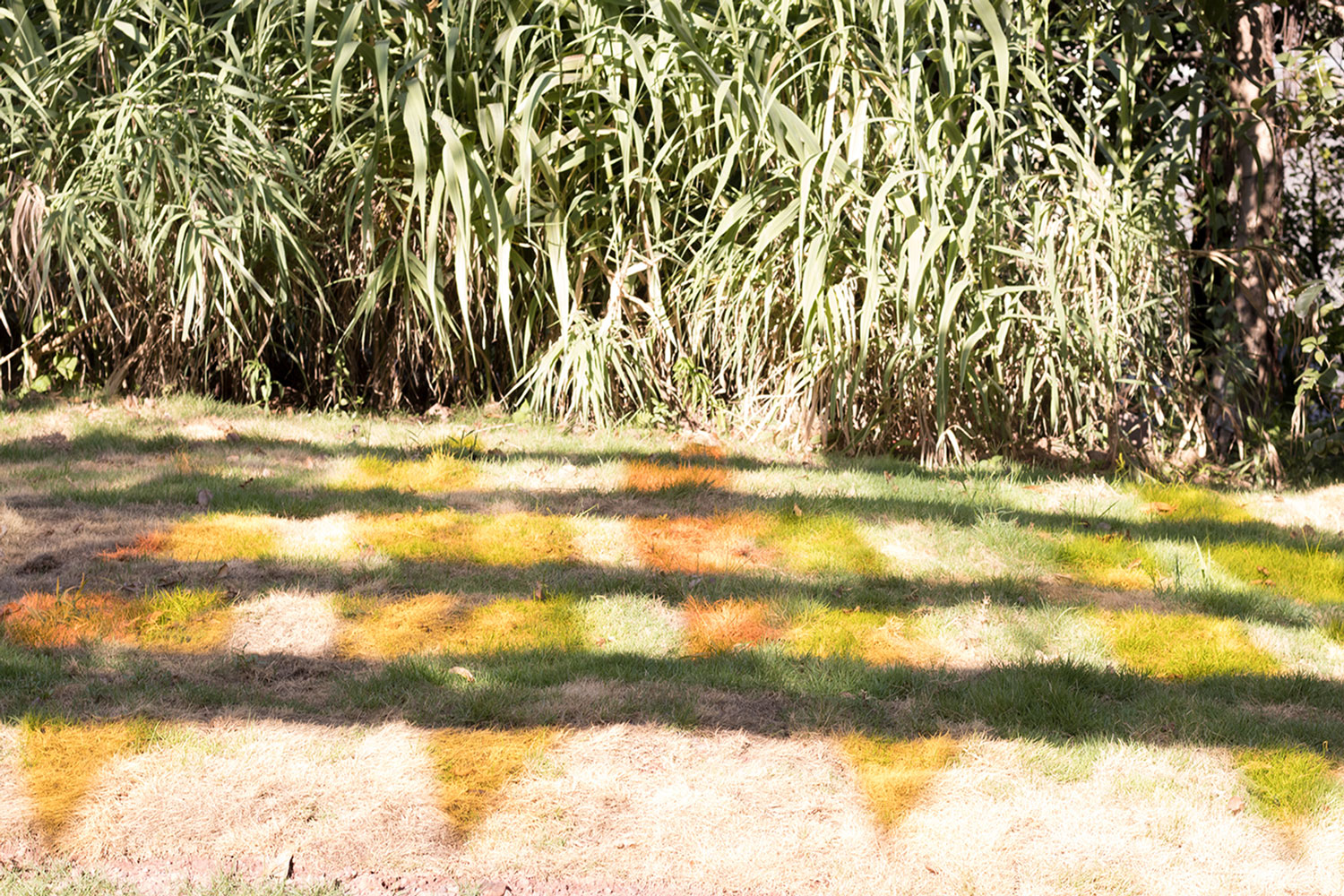 重庆“宜居街道”的创意改造-17