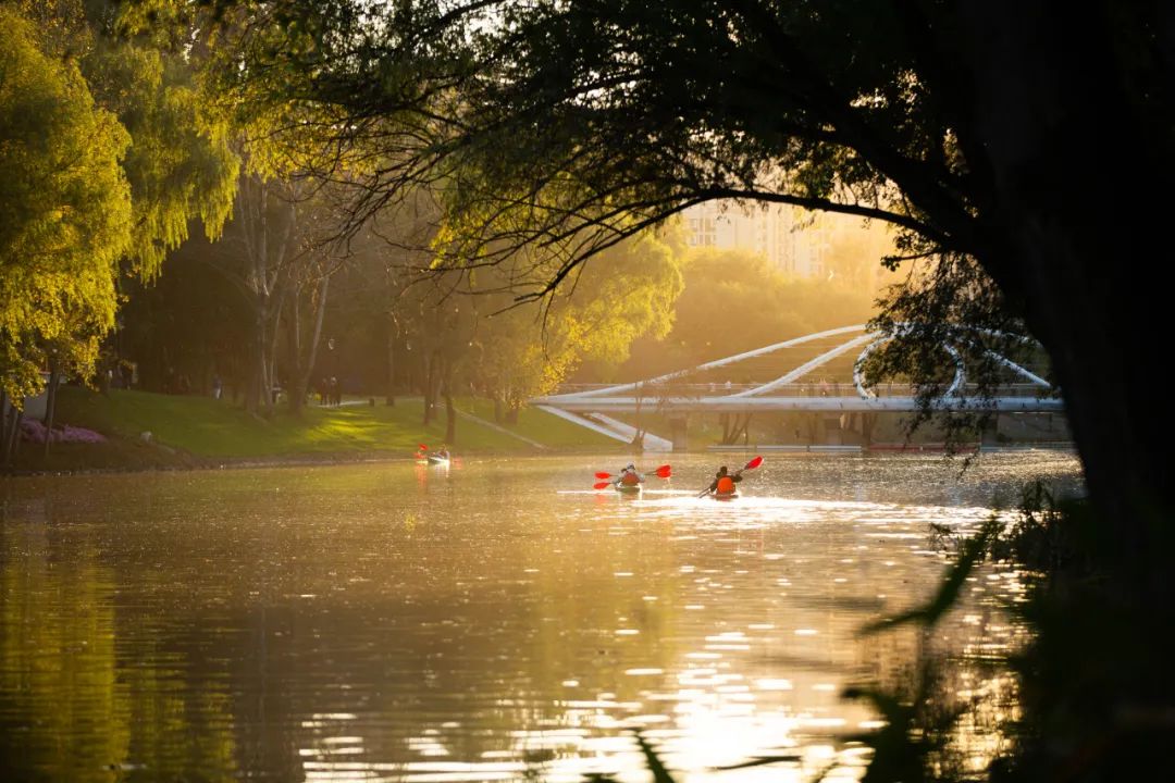 京城水岸再添坝河春色，北京首条游艇航线年底开通！-54